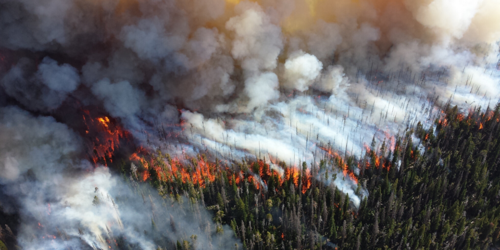 Wildfires with Artificial Intelligence