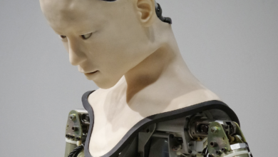 robots