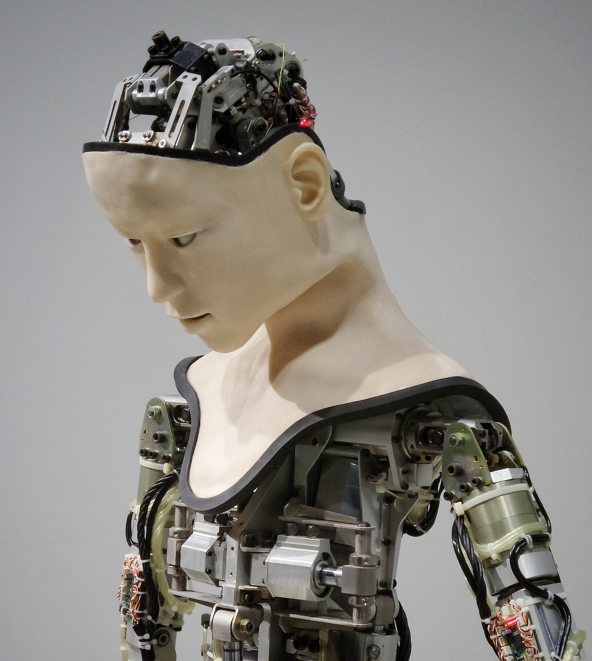 robots