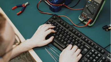 software development
