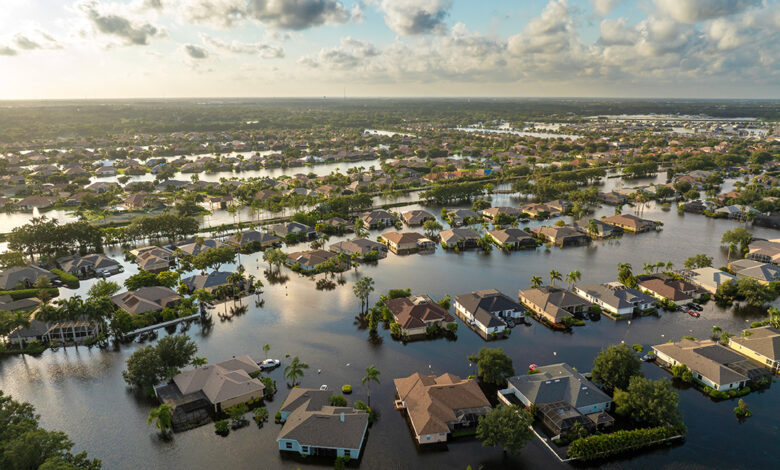 Climate Risk Analytics