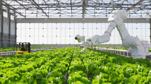 AI in agriculture