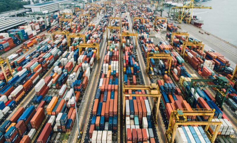 net zero supply chains