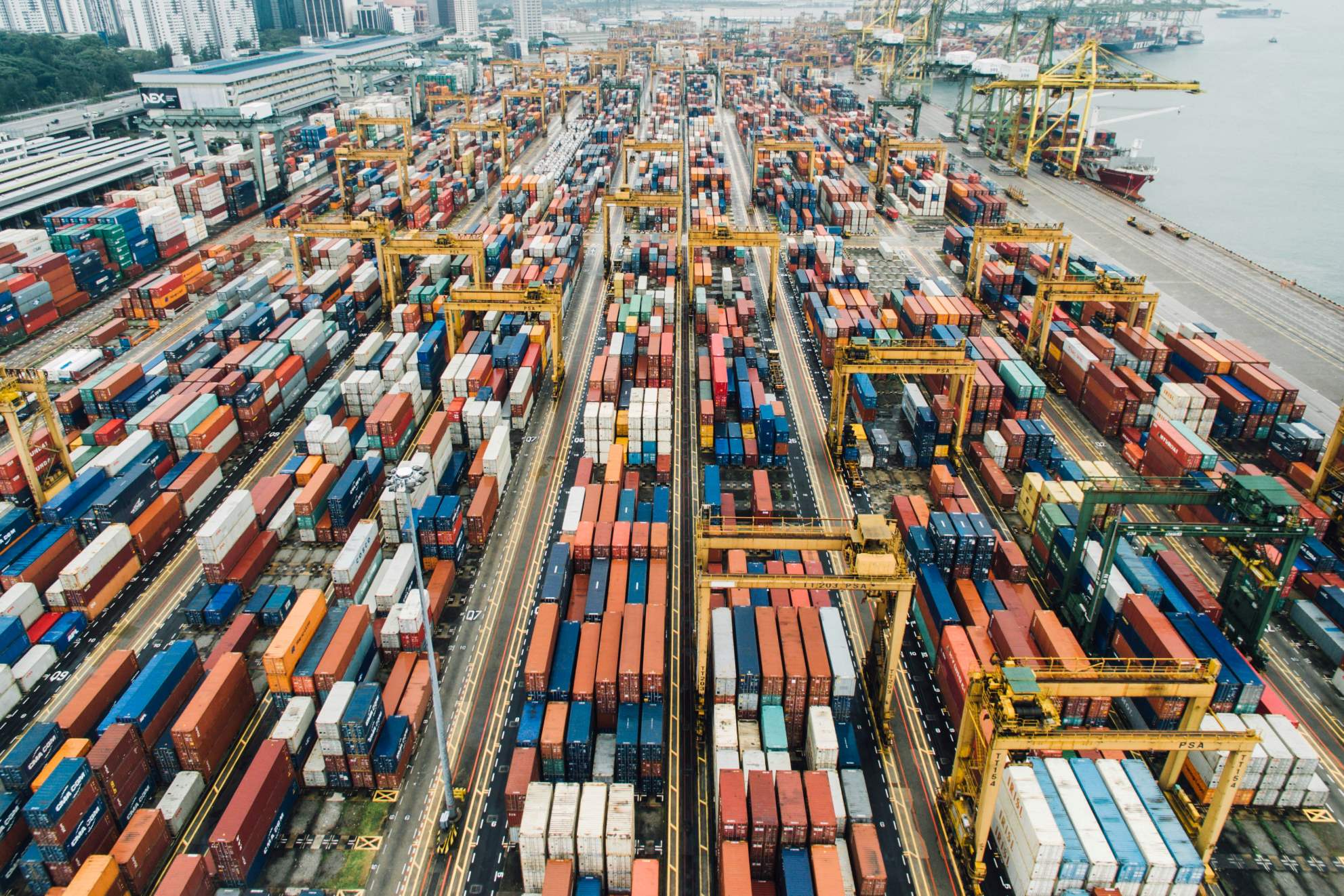 net zero supply chains