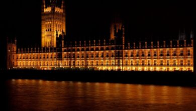 public sector
