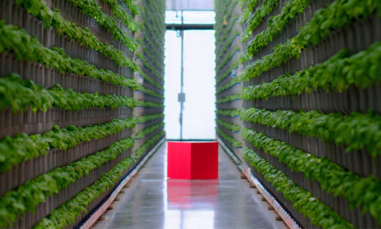 growing carbon footprint