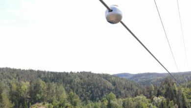 AI Can Save the Power Grid