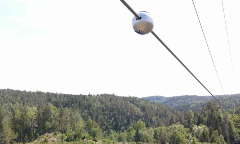 AI Can Save the Power Grid