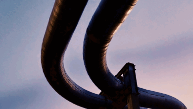 Leveraging AI Project Cost Control