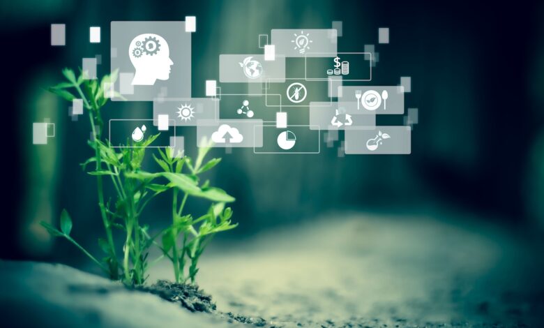 Navigating Compliance Challenges and the Rise of Observability