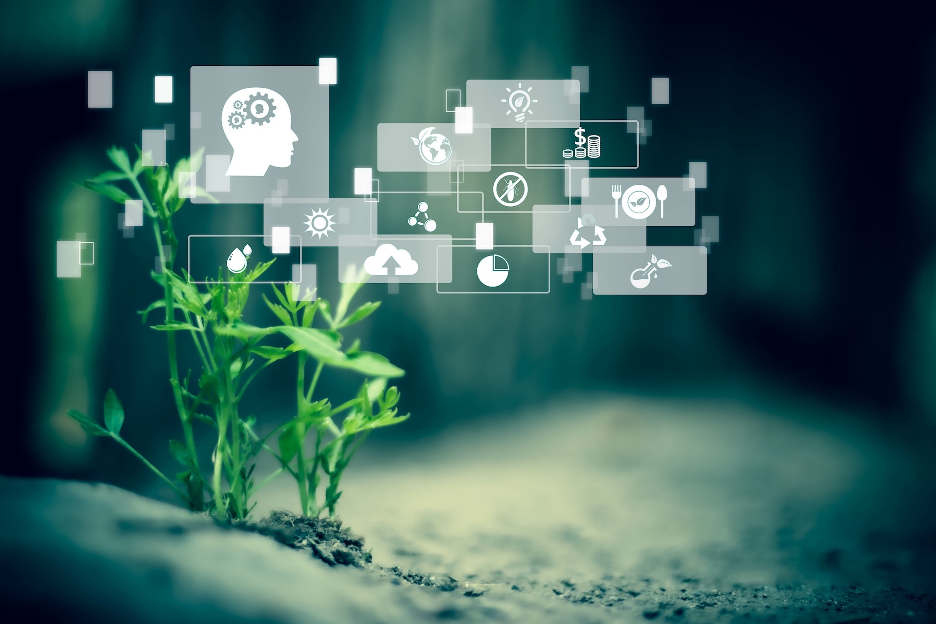 Navigating Compliance Challenges and the Rise of Observability