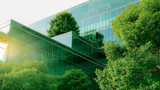 How AI is Making Sustainability a Reality