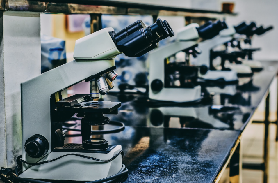 The Future of Innovation Lies in Scientific IP
