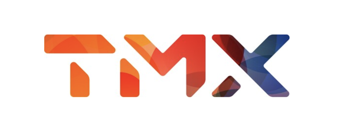 Supply Chain Consultant TMX