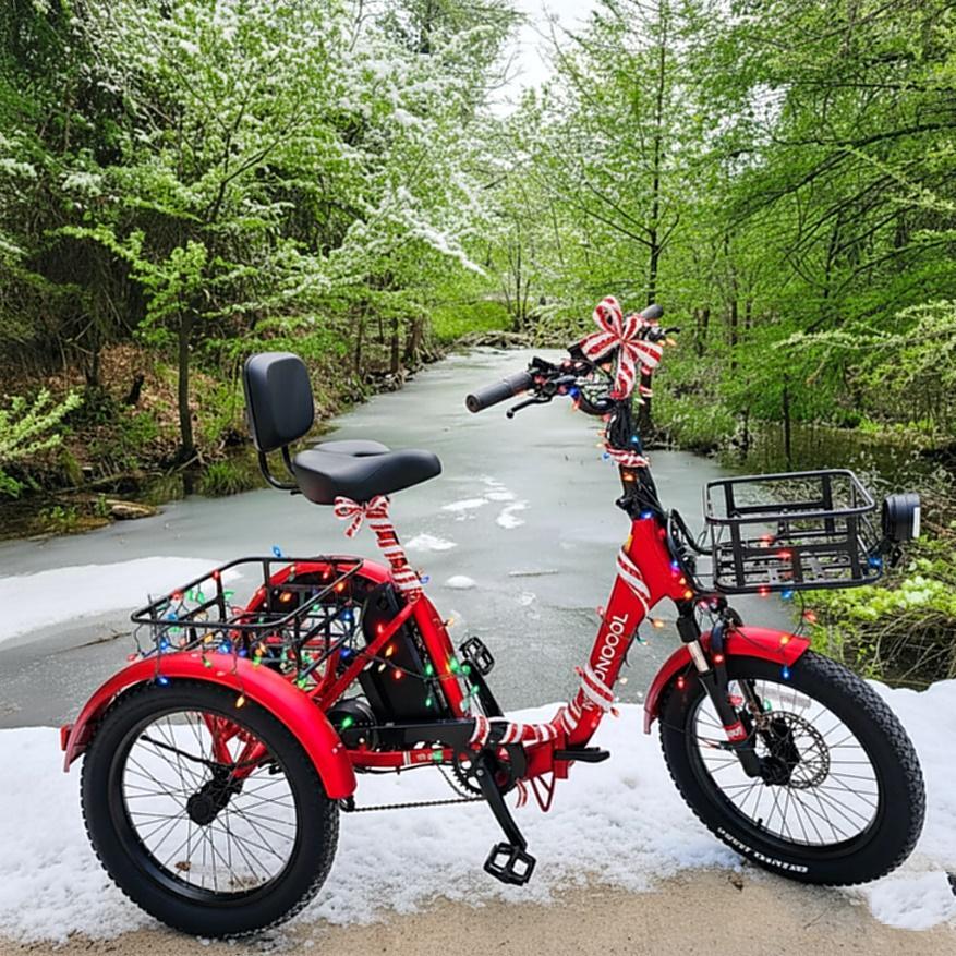 E-Trike